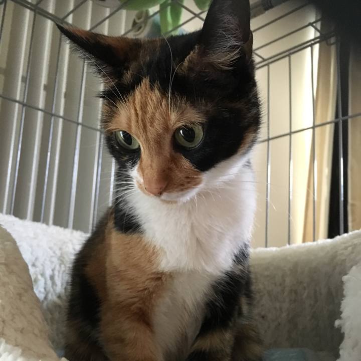 77d9b230 09fb 446a 883c 03e831d7e0f8