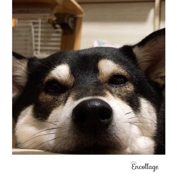 77da7e3b 02b7 4e5e b93d 2bd88507c969