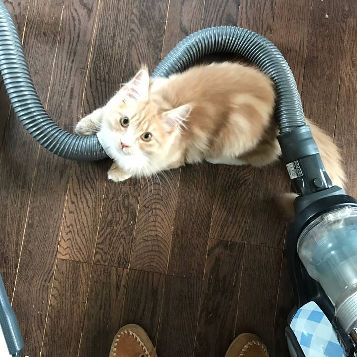 77da91b7 2676 4c1c af0d 6400e8089af3