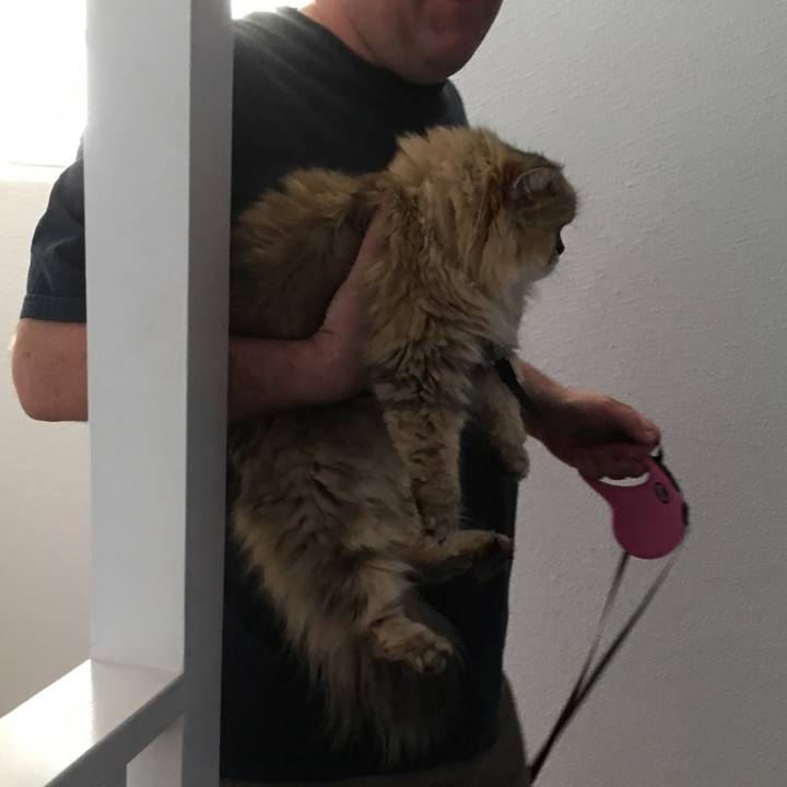 77dab353 743e 4629 b9a7 37486268393e