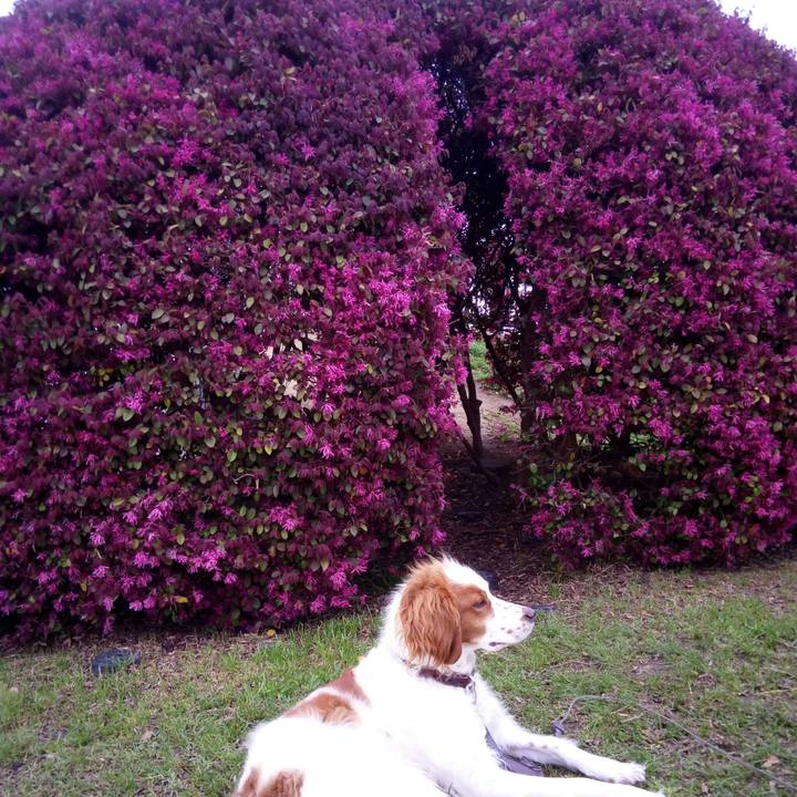 77db3a20 1d68 48de 9b09 8e276cdd5ecd