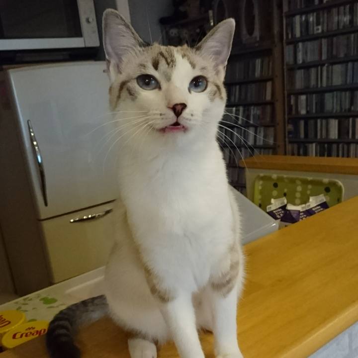 77db4d42 16a4 4bfd 9b7d cd413f36aad7