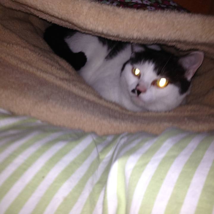 77db74fd 869d 4eeb 8fa7 973ef7a6fa12