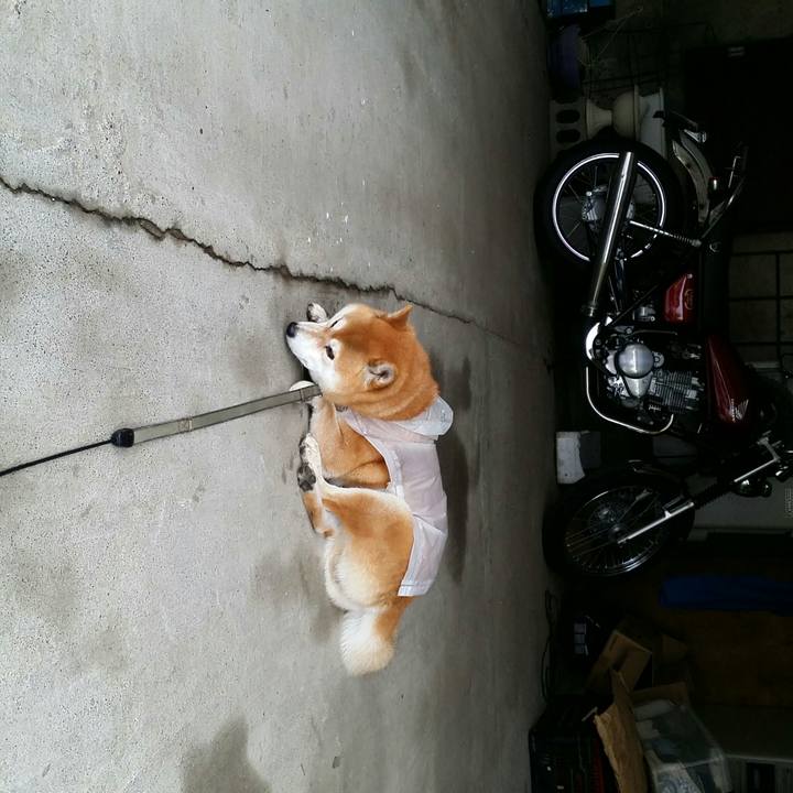 77dbd8c4 972f 4a9a b568 d2b3f4de427e