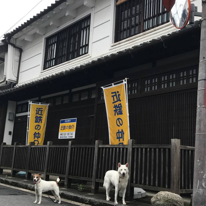 77dce324 6f81 4d7e 9330 12b4037da4c7