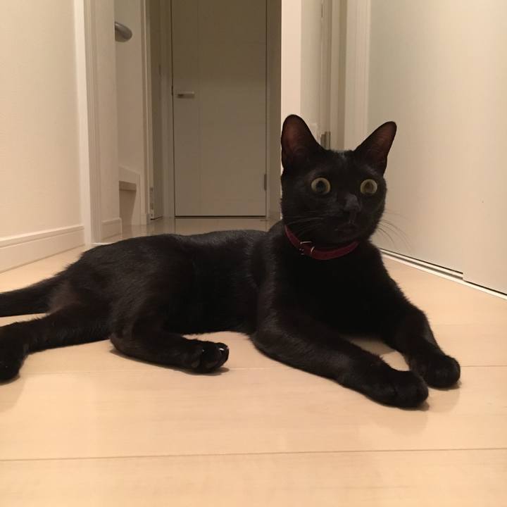 77dd5cf6 5eff 4b50 bd2c c14354d170e4