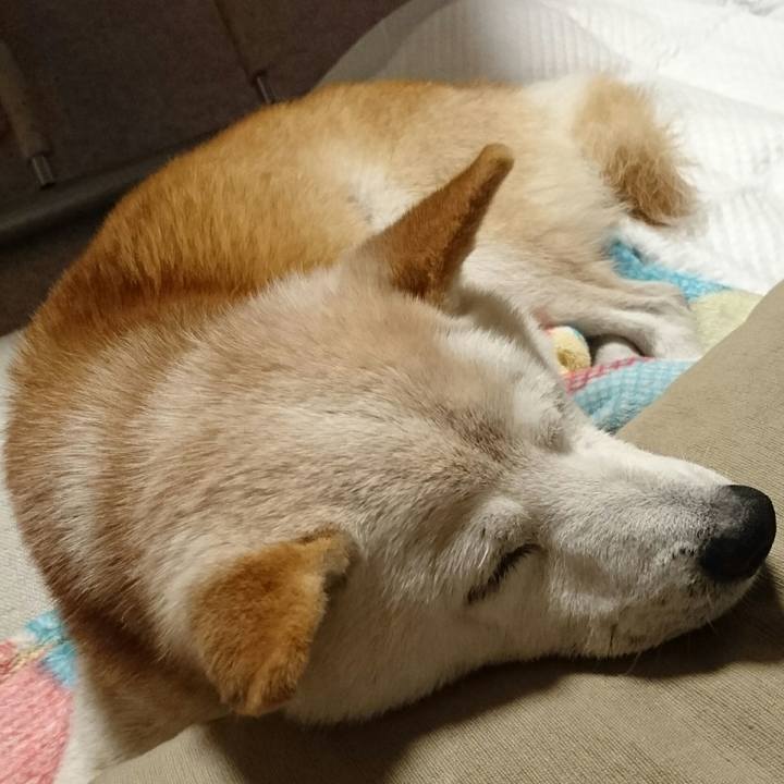 77dd6d46 3325 4d22 914a 4a41f1212d2b