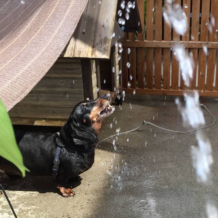 77de027c d8a2 40c0 b4b3 11a01ab139f9