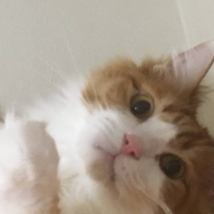 77de607b 6a8c 4da5 8b3a 5c843583e8d8