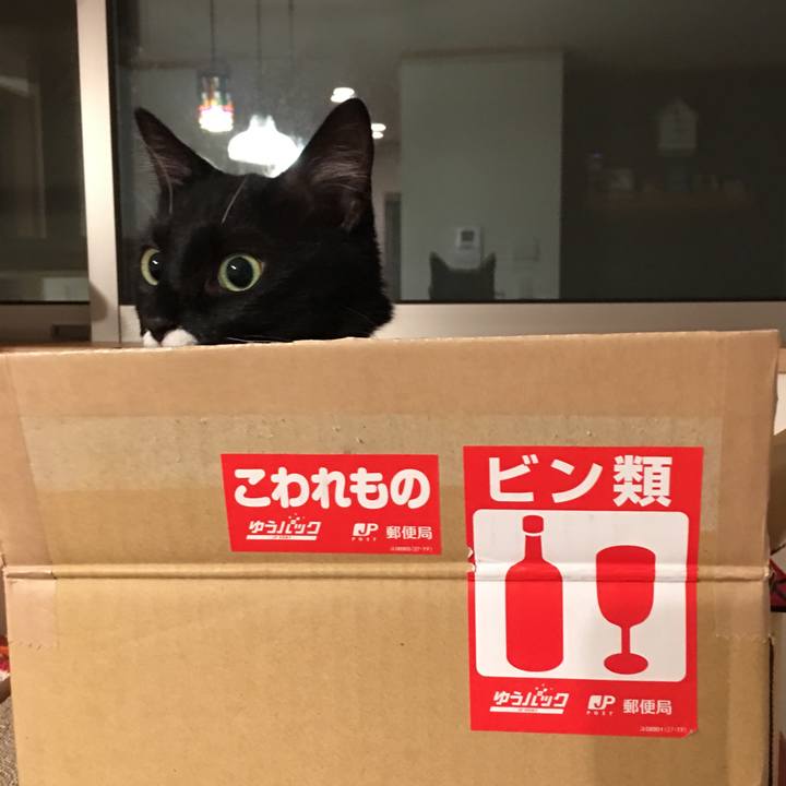 77de82c6 af75 42f4 acfb 32a5024589f2