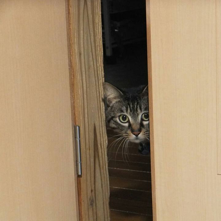 77defb07 b761 4bfa 8f3d 3e818a17ce1a