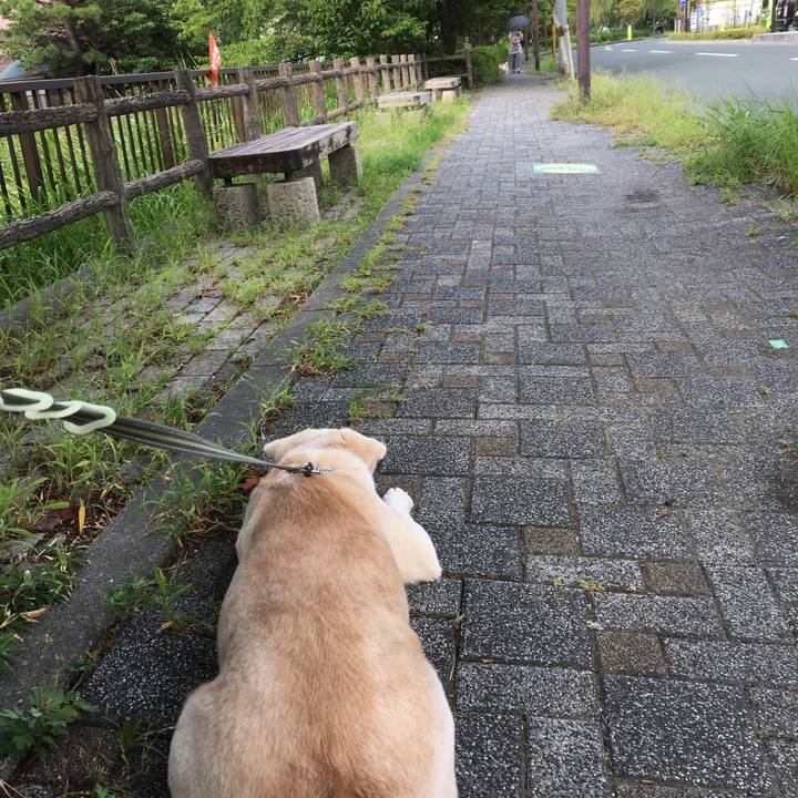 77df4637 100c 41a5 bddb 84f2b776b2e2