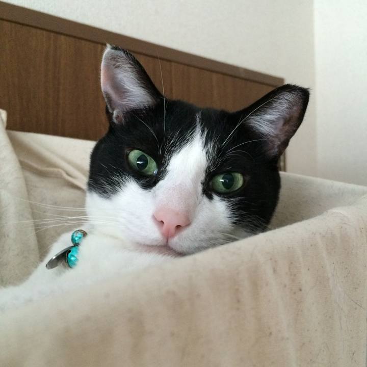 77df5469 12ad 42cf 88c1 e143dff4ee6f