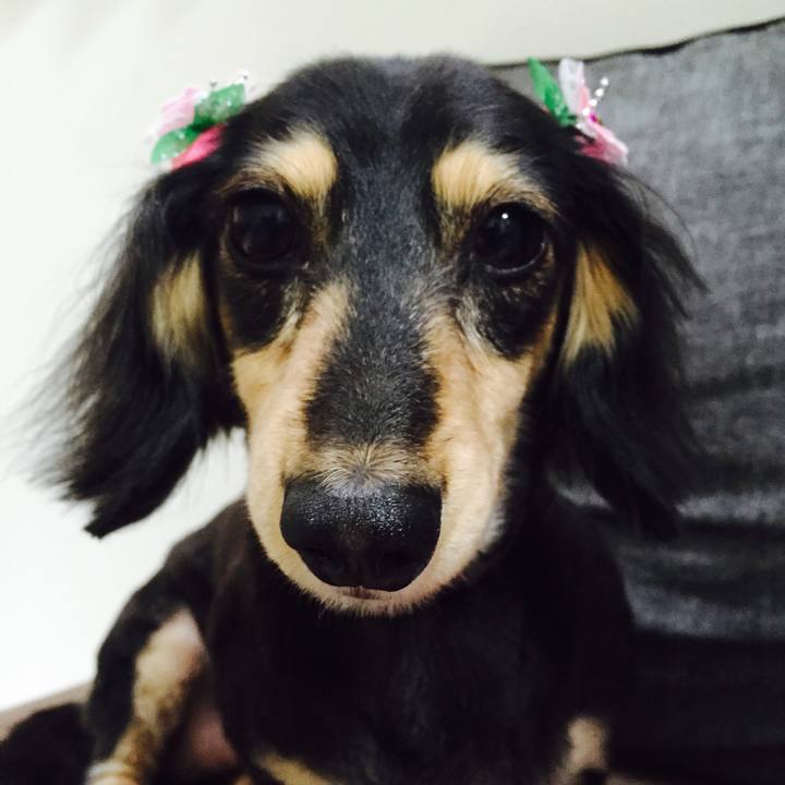 77df68ac 49de 489a 94ac 02a3ffd26561