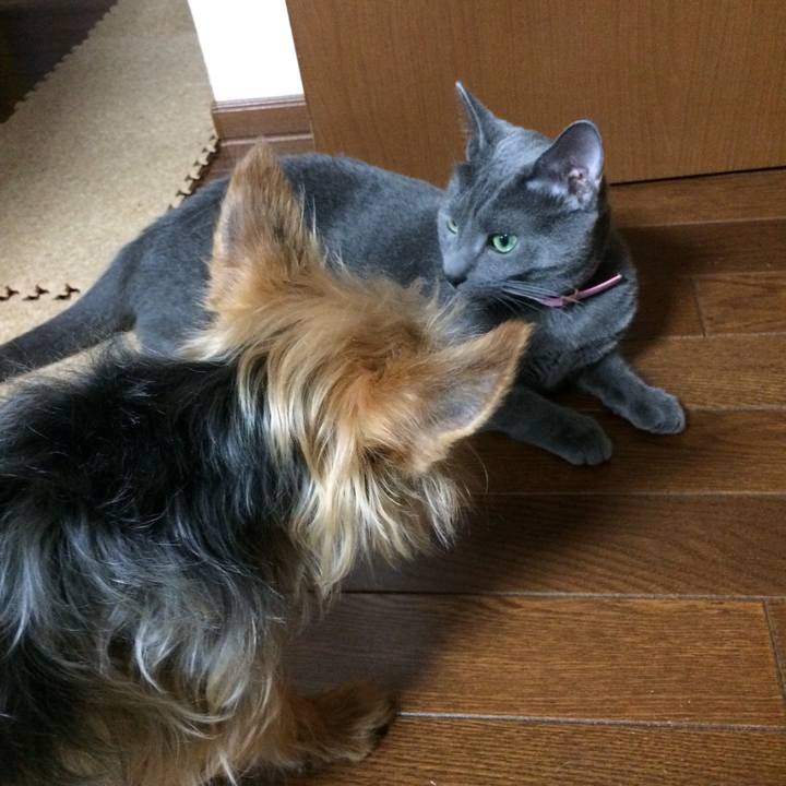 77df96dd 3873 4f21 add0 5af7de8c16e4