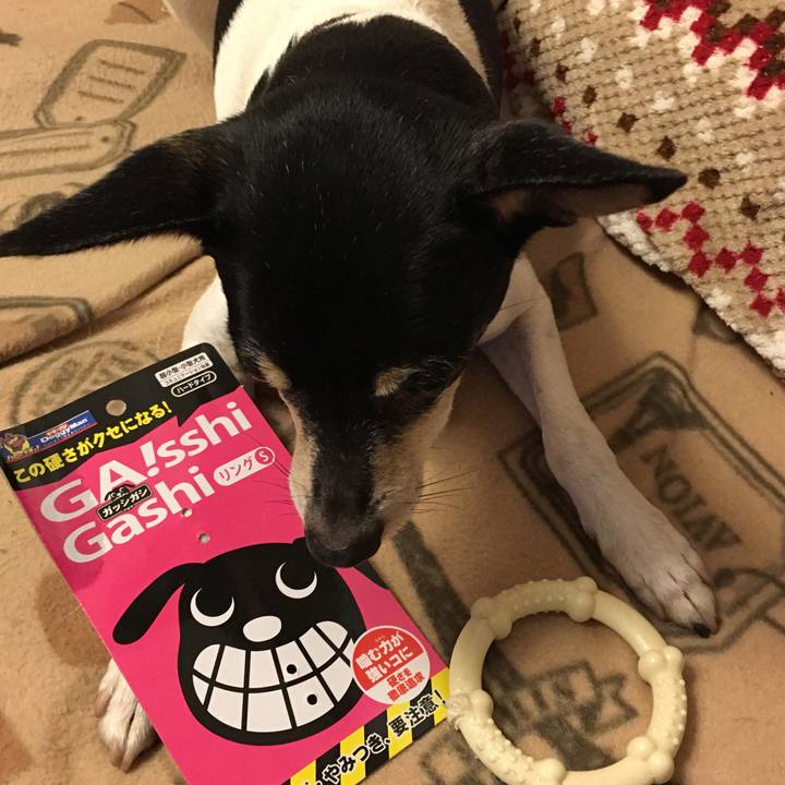 77dfb51f 2f99 4fff 8a27 713a2bfda200