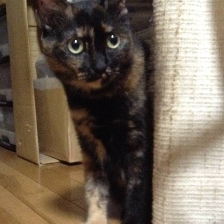 77dfe85c a201 4afd 8987 6a56908c0a18