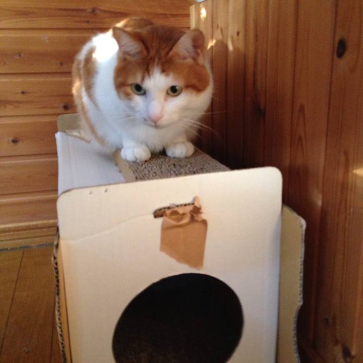 77e05fc5 874e 4222 bcc3 28f35f51cc7c