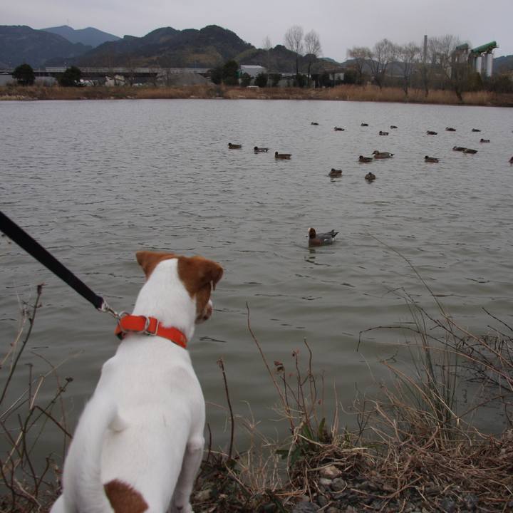 77e06c70 78a1 4cc5 a722 1110f8c53ae2