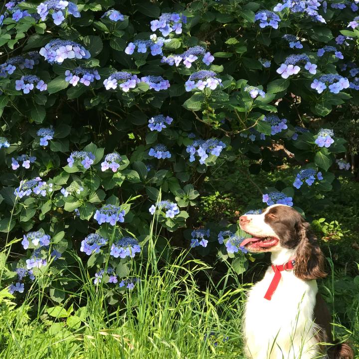 77e09f06 338c 4dad 9de8 959196806b56