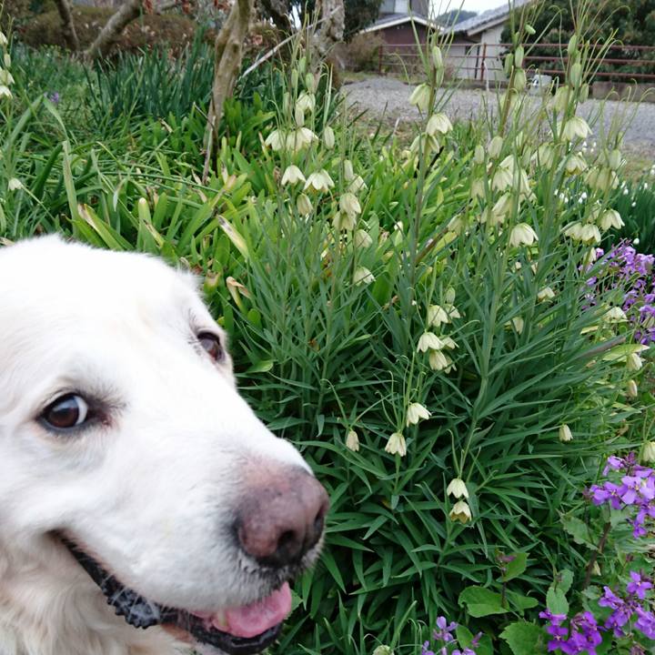 77e0d05e 5403 4cfa 980a 67c2948340ce