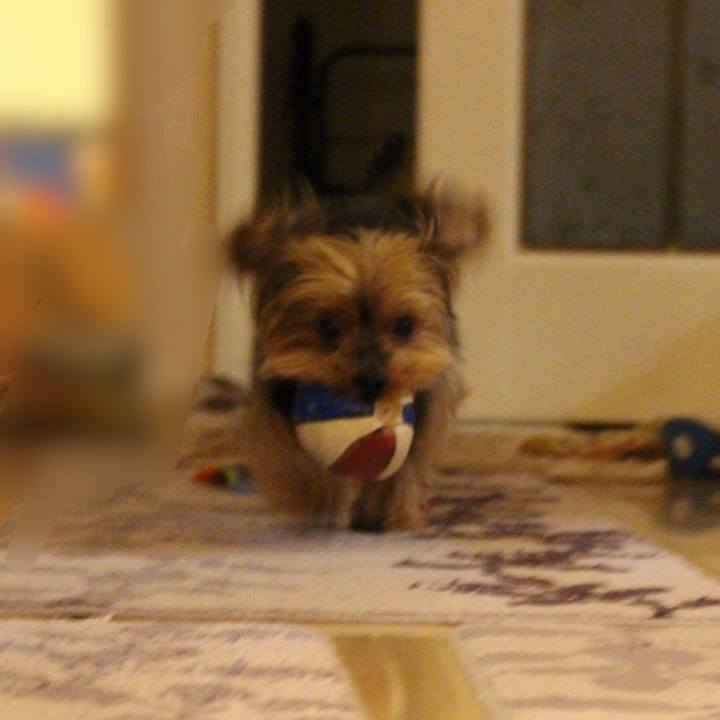 77e0dd11 651a 4b28 8595 460f101f5c0c