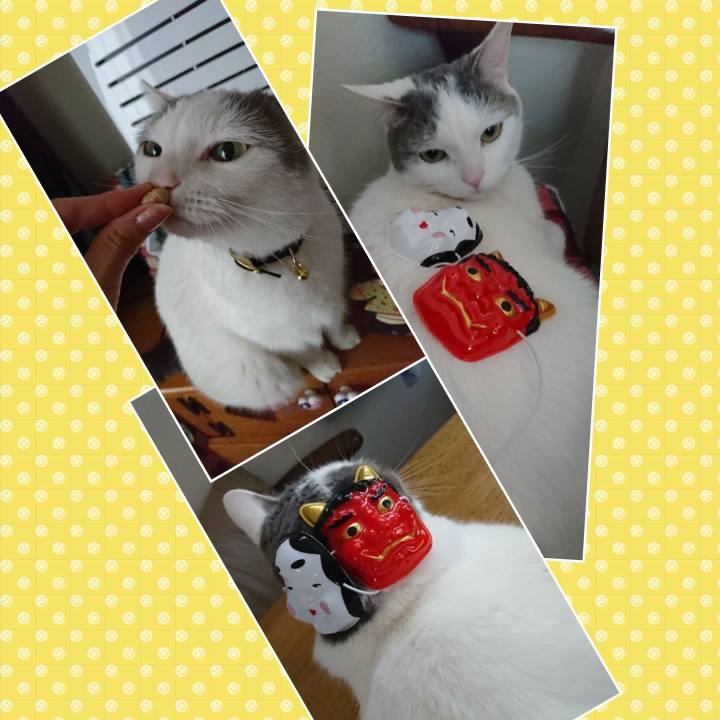 77e15197 143a 4e14 9625 80eed1e86a3f