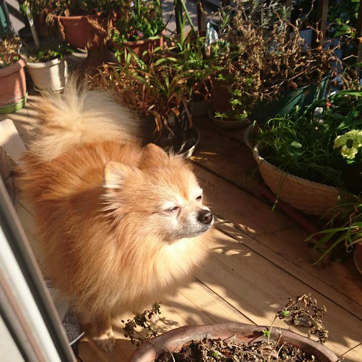 77e206cf 76d4 43f4 8853 580e1ef3d602