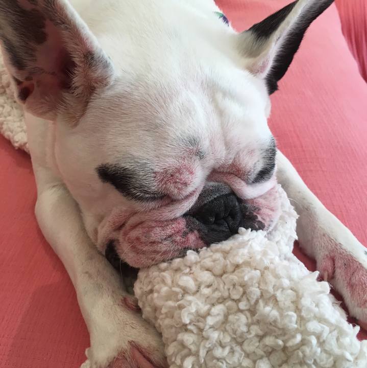 77e2b348 1598 4790 b12c 35606cc7dab6