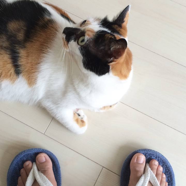 77e38f9d 7d26 4a01 bdba 3dd05579327a