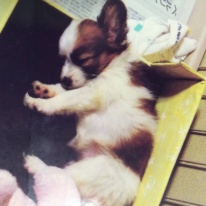 77e3cc0e 44ea 46bc b367 c3d525c3c5af