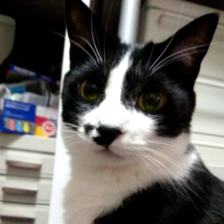 77e3e329 2237 4a3a b46b cdc8d58778c0