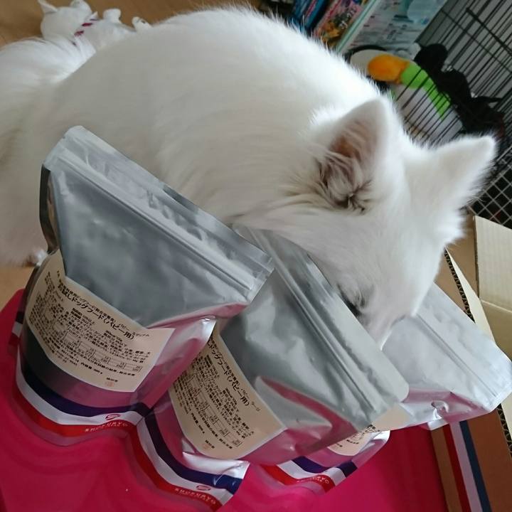 77e4019c 7975 4f42 92fd a90013547716