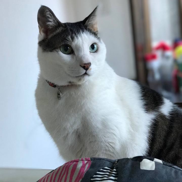 77e461ab e641 4393 88f4 5a6d2cdb8085