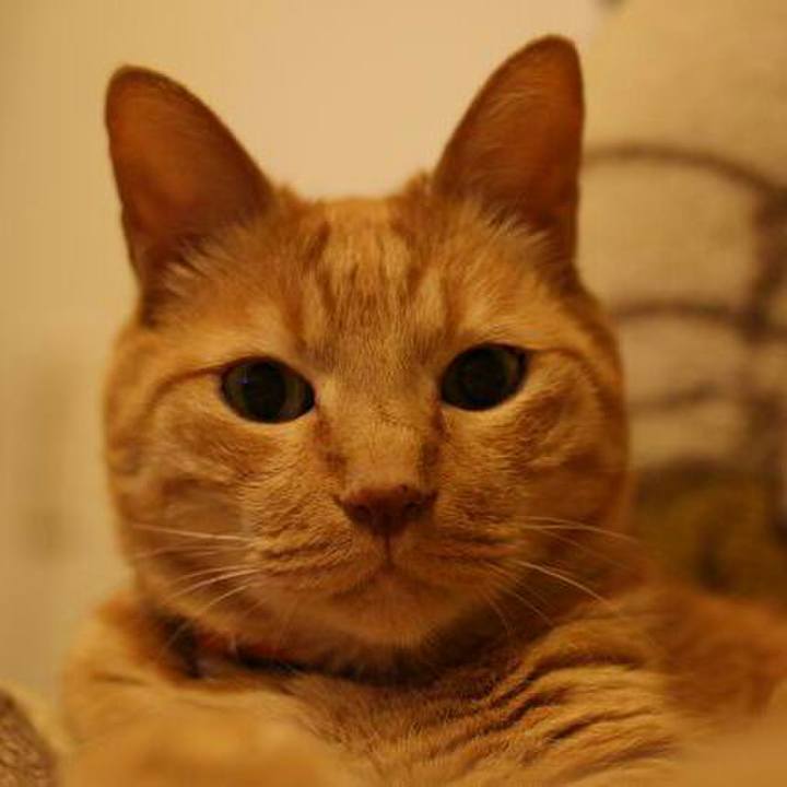 77e470bc 1cc3 463c 80b6 638fcad58152