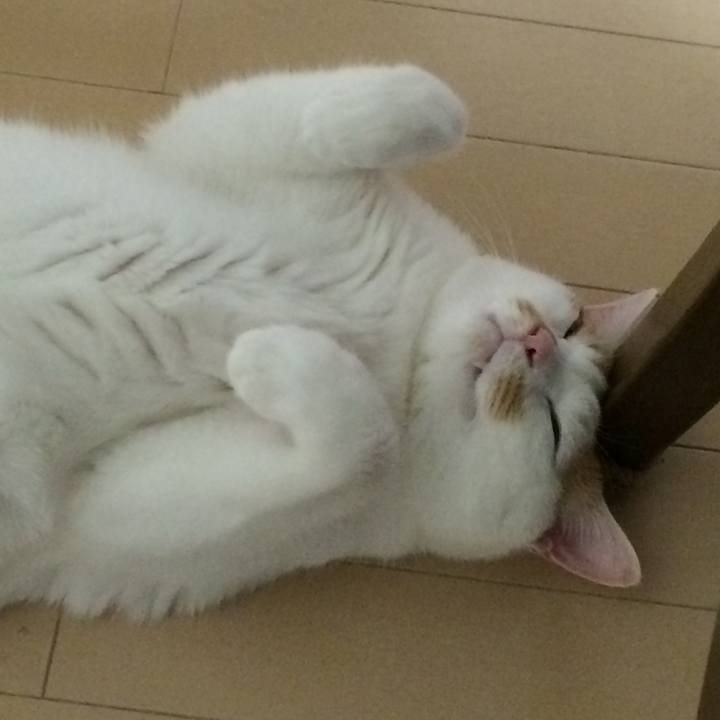 77e487a7 470d 40ef a6d6 18f8bd43bd0e