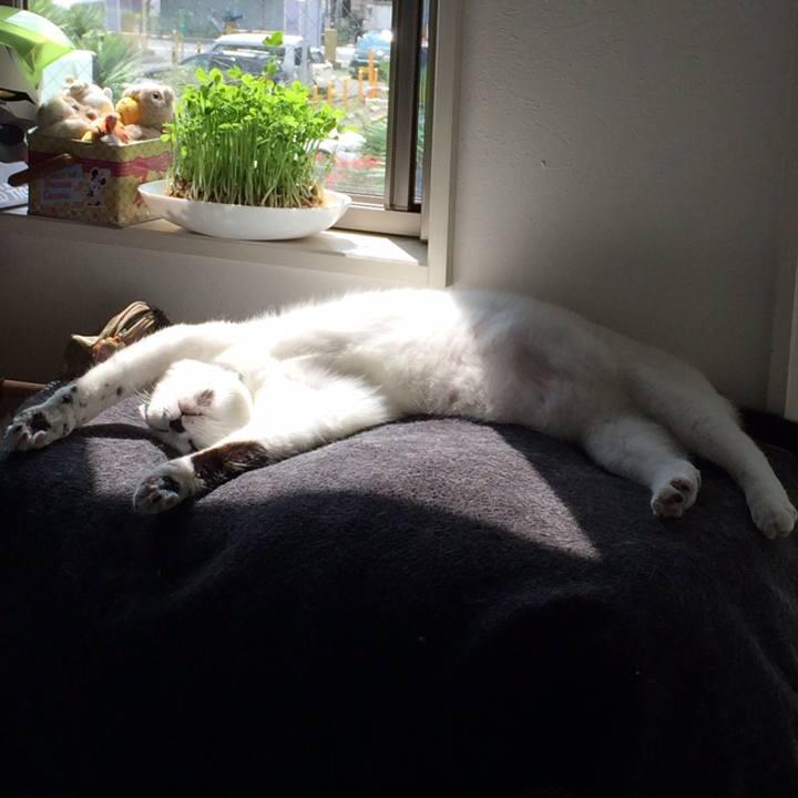 77e5f89f 427a 4cef 940b 406e233678b9