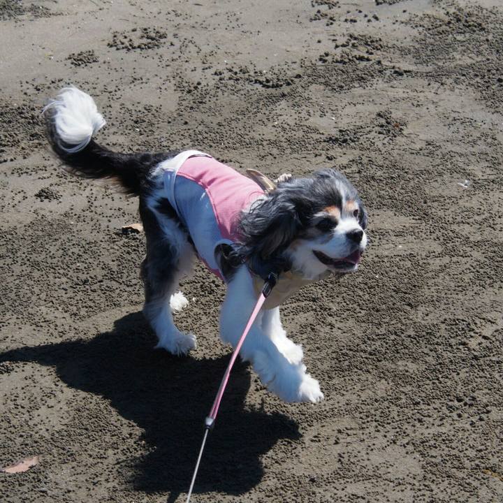 77e6bcd0 8196 4813 a7a2 7e1ef2f65160