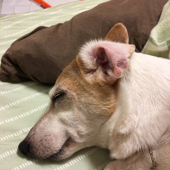 77e728c5 02ba 4cb0 a26a f0f37da2ce14