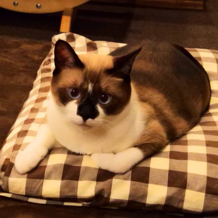 77e7fd5e 5cd9 4594 ac77 250c15a4c361