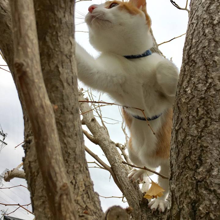 77e88043 8ff2 404a b6aa dd7cabade935