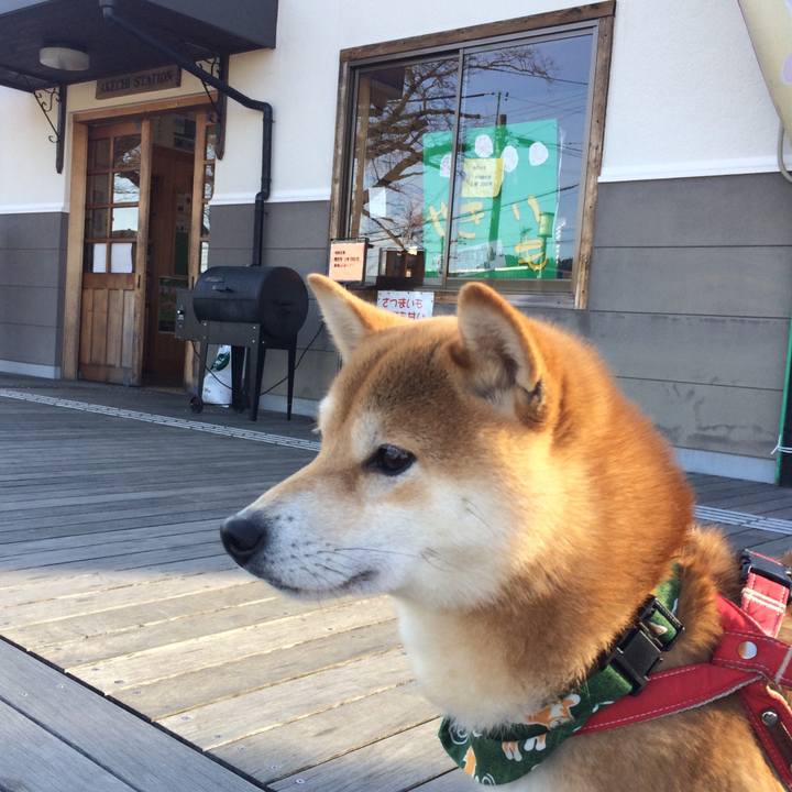 77e8875b b837 40a4 bfe3 bd4187ae7c56