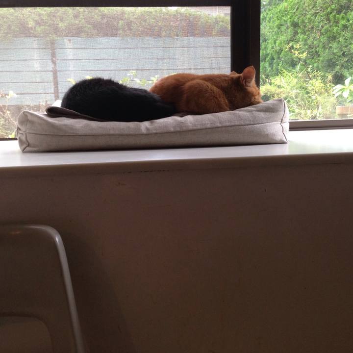 77e89f9d 3cc3 47a9 bb66 005488c39019