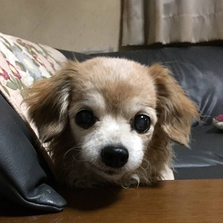 77e90599 218e 4f34 bdd5 88b4fa953e98