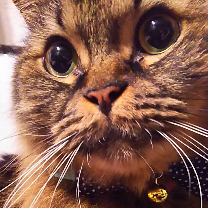 77e91beb e551 4868 9781 74da4097268a