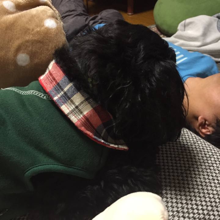 77e97324 9867 463a ab58 4bcb264a5ea8