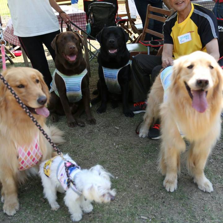 77ea4325 f938 49d1 a043 623bef01c0e1