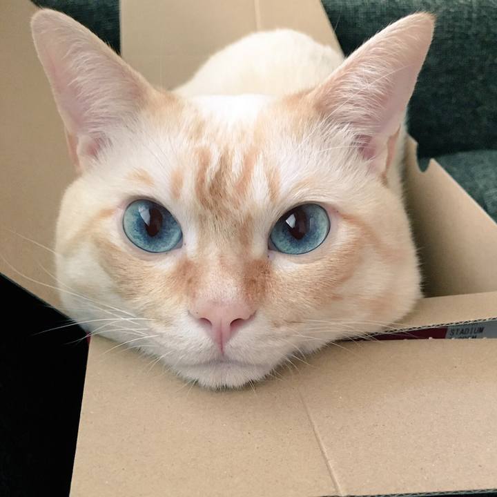 77ea4de4 3e18 49c1 9d51 555d6b0f65ac