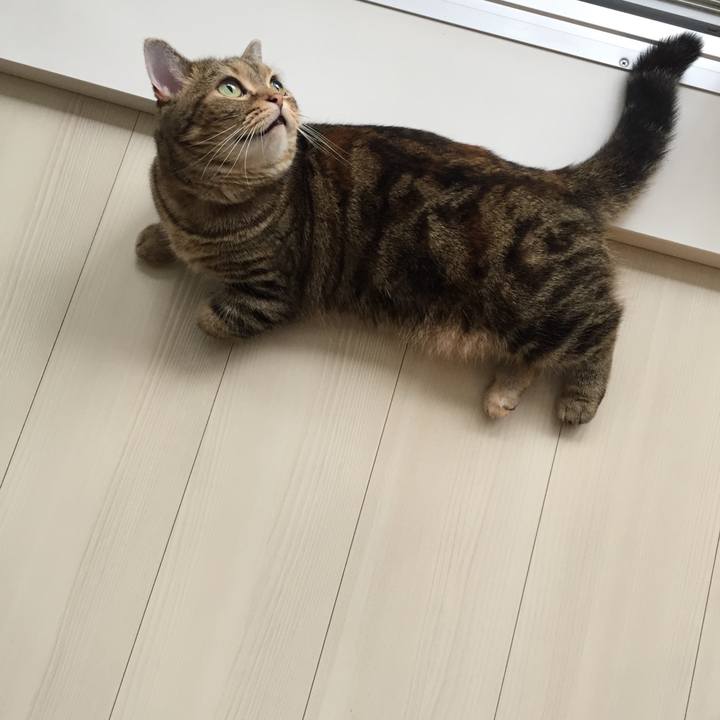 77ea85f2 c824 4490 ab60 39ed8f83fdc5