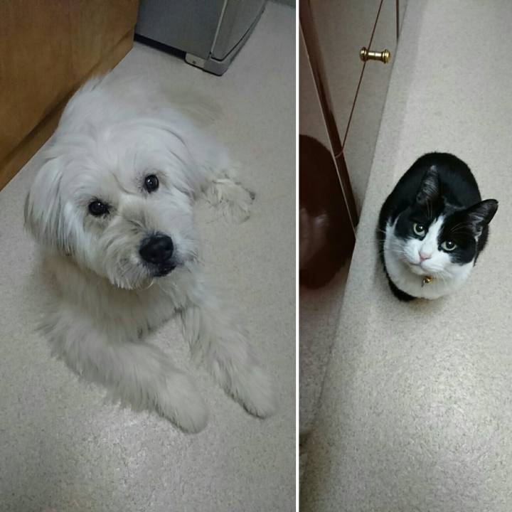 77eac56d ea81 4af5 9fea e07b44fca590